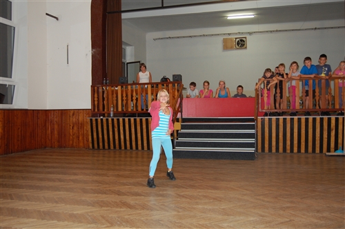 Obrázek v galerii